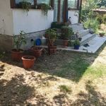 Fully renovated amazing property with nice garden near Pleven