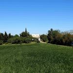 Lovely detached house to renovate with large plot of land over 3200 m² and views of the Lauragais countryside.