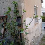 Small House in Lythrodontas, Nicosia