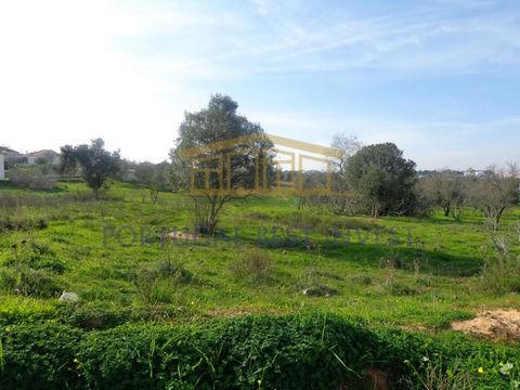 Terrain urbain dans un excellent emplacement à 10 minutes de Praia da Rocha et Praia do Vau. - Avec possibilité de construire un HÔTEL SOUTENANT LE TROISIÈME ÂGE et également avec un projet approuvé pour HÔTEL RURAL. - Projet APPROUVÉ pour HOTEL RURA...