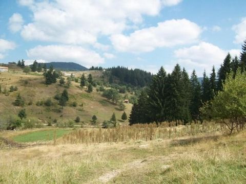 405:WIR BIETEN SIE ZUM VERKAUF PROPERTY4800SQ.M.-LAND. 50M. AUS DEM ASPHALT ROAD, ES IST VON EINEM FOREST ANGRENZEND. VOM 20 KM ENTFERNTEN DORF MOMCHILOVTSI. VON DEN BÄDERN, 18KM. VON PAMPOROVO UND SKI CENTER CHEPELARE, 16 KM. VON SMOLYAN UND 70 KM. ...