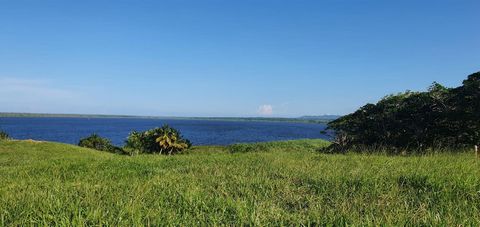 Lagoon View Land te koop, Miches Laguna Beach, een droom van ontwikkelaars. Het biedt een ononderbroken uitzicht over de adembenemende Miches-lagune, het Nisibon-gebergte en de Uvero Alto-hoogten. Dit is de plek waar de kokosnoten letterlijk van de b...