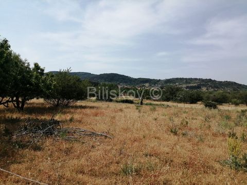 Brač, Nerežišća, agricultural land of 12,860 m2, only 200 m away from the village. Lengths approx. 124 m x approx. 101 m wide Road to the plot 3m wide. The plot is mostly empty. In one small piece, 5 cherries, 3 almonds and one fig. Agency commission...