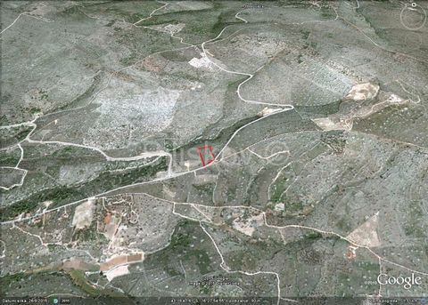 Milna, BracWe are selling agricultural land along the road of 6200m2.www.biliskov.com ID: 6868-1
