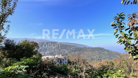 Available for sale exclusively in Anilio Pelion, an old stone detached house. The detached house needs a complete renovation and is located on a plot of 1140 sq.m. it consists of two levels. The lower level is used as a warehouse. The upper floor, wh...