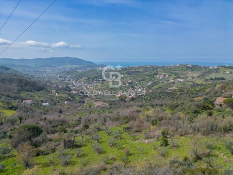 We offer for sale an agricultural land located in a panoramic position on the sea just 10 minutes by car from Agropoli. This land is surrounded by nature and olive trees which give it an authentic and rustic atmosphere. The land has a minimum buildin...