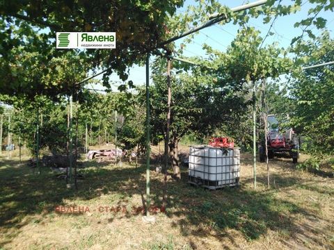 Yavlena verkauft ein Grundstück innerhalb der Stadtgrenzen. Das Anwesen verfügt über halbfeste Gebäude, dreiphasigen Stromanschluss, Wasser. Es eignet sich sowohl für den Bau eines Einfamilienhauses als auch für den Bau einer Werkstatt oder eines and...