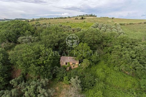 This interesting property immersed in the countryside, in a quiet and reserved location with view of Pienza, is composed of a farmhouse to be restored on two levels. The ground floor is currently used as storeroom and cellar. The first floor houses t...
