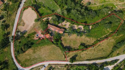 Farm for sale, overlooking the Douro River, 15 minutes from Marco de Canaveses. Distant only 10 minutes from the Douro River, the property is close to several tourist spots such as restaurants, river beaches, hotels and marinas. Inside the property t...