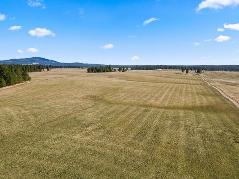 Discover an exceptional 80-acre farm and ranch nestled in the heart of Lewis County, ID. This remarkable property seamlessly integrates agricultural productivity, breathtaking natural beauty, and boundless recreational opportunities. With thoughtful ...