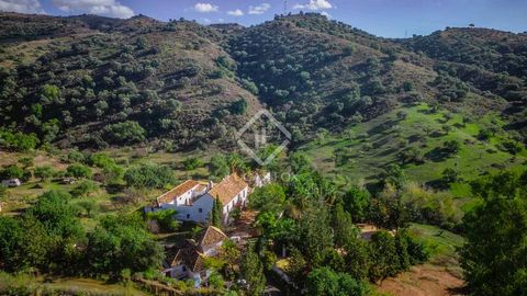 Welcome to the enchanting sanctuary of Cortijo Casas Viejas, a place where time seems to stand still. Nestled amidst the expansive beauty of 58 hectares of flourishing olive groves, lush almond trees, and the sweet-scented carob trees, this captivati...