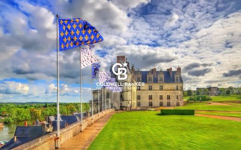 Located in the heart of the Loire Valley, classified as a UNESCO World Heritage site, the charming town of Amboise is surrounded by famous castles and offers exceptional tourist appeal. By acquiring this property, you will benefit from Amboise's priv...