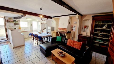 HOUSE IN PROVENCAL DROME  Located in the heart of Saint Paul Trois Châteaux, pretty village house with terrace and interior courtyard + 3 cellars including 2 vaults. It has a pretty living room with exposed stones and beams, two pretty bedrooms, a ba...