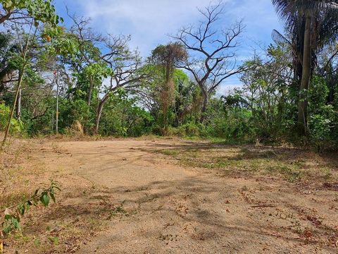 If you're looking for peace and tranquility while remaining close to all amenities, don't miss this investment opportunity! Lot 17 SW is one of the last remaining magnificent lots for sale at Samara Woods, an increasingly sought-after residential com...