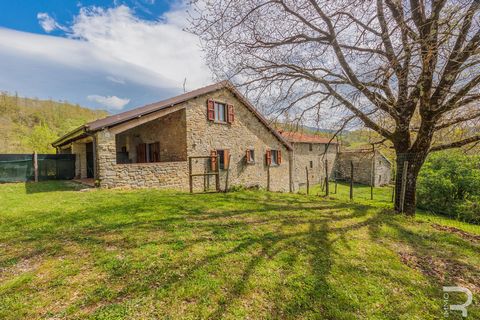 Advertisement for sale: Charming organic agriturismo in Alta Val Tiberina If you are looking for a unique opportunity in the heart of Tuscany, we present a charming farmhouse that combines old world charm with modern amenities. Located in the picture...