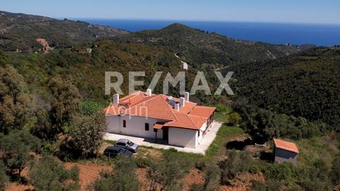 Real estate consultant Andreas Christodoulou, member of the Sianos Papageorgiou team and RE/MAX Domi. Property code: 9776-10263 Available exclusively from our team for sale outside the village of Xinovrisi in southern Pelion a unique property of 330 ...
