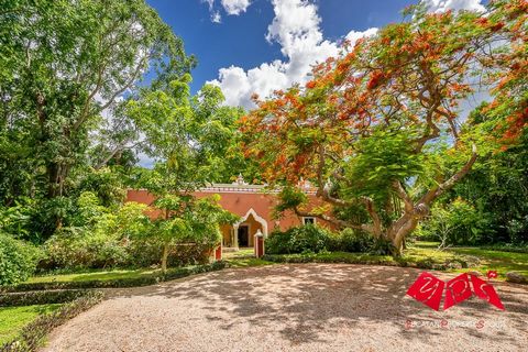 HACIENDA PETAC (una PROPIEDAD PREMIUM de Yucatan Property Scouts) Hacienda Petac es un testimonio de la rica historia y grandeza de Yucatán, México. Situada cerca de la encantadora ciudad de Mérida, esta extraordinaria propiedad ofrece una experienci...