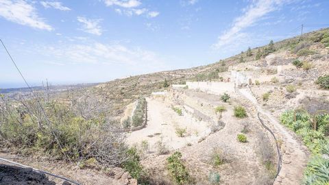 Finca of 5400 m2 with cistern of 300 m3, fruit and olive trees, has a country house with three bedrooms, bathroom, terrace, patio and cave for winery, very quiet place surrounded by nature.