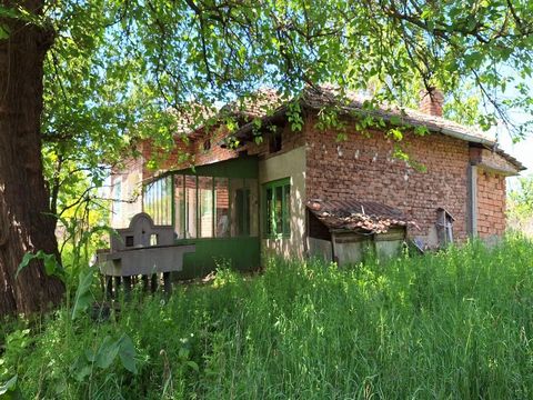 Massive brick house with three rooms, summer kitchen, outbuildings, garage and yard 1300 sq.m in the village of Alexandrovo 55 km from Veliko Tarnovo. In the yard there are fruit trees and a vineyard. There is a well, electricity and water. The villa...