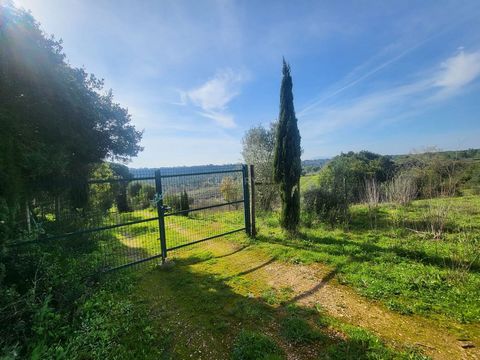 Azienda agricola con terreno di 5,2Ha completamente recintato e con due ingressi indipendenti. Un terreno fertile con cinque sorgenti d'acqua, che scorrono tutto l'anno, un pozzo d'acqua, 3 cisterne e una casa di supporto rendono questo luogo unico n...