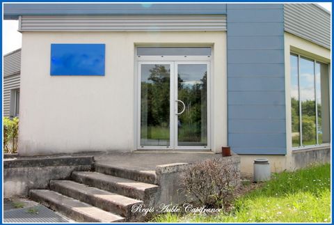 photo no. 2