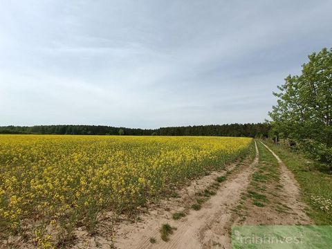 We invite you to familiarize yourself with the offer of agricultural plots intended for single-family housing, located in the city of Krakow. Stawno, in the municipality of Goleniów. A complex of plots, located on two municipal roads, dirt roads, on ...