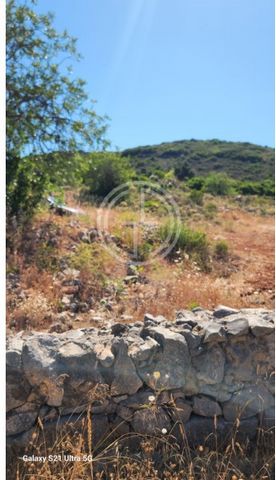 Rustic Land of 8440 m² with excellent access and stunning views. A unique opportunity to invest in your dream project! Santa Bárbara de Nexe is a charming village located in the municipality of Faro, in the Algarve region of Portugal. Known for its p...