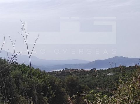 Discover the ideal canvas for your dream home on this expansive 1744.21 square meter plot in the picturesque village of Karotis. Currently, a permit is being issued for the construction of two 120-square-meter houses, each spanning two levels. immers...