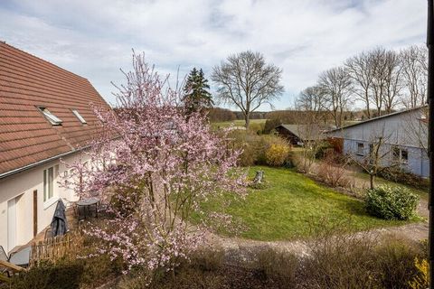 Het kleine, rustige dorpje Buchholz is idyllisch gelegen aan de Müritzsee, een uitbreiding van de Müritz, en ligt in het Mecklenburgse merengebied. Omzoomd door weilanden, velden en bossen en veel water, behoort Buchholz tot het district Röbel/Müritz...