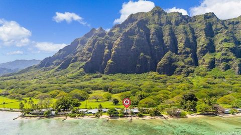 Step onto your very own secluded white sandy beach, where the gentle waves and breathtaking views of Chinaman's Hat create a tranquil paradise. This 4-bedroom, 4-bath single-level beach house offers direct beach access, making it the perfect retreat ...