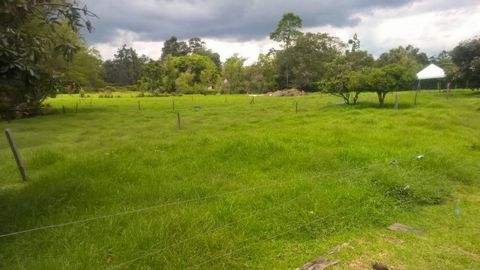 Land for sale in Unidad Campestre Vegas de Guadalcanal. The topography of the lot is flat with a gentle slope towards the El Hato ravine and fully usable for recreational farm with agricultural activities such as orchards, fruit trees and domestic©an...