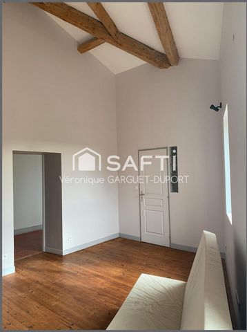 photo no. 13
