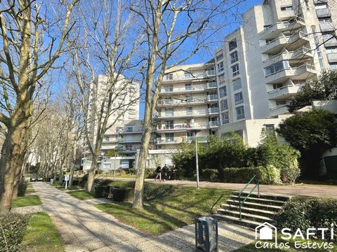photo no. 14