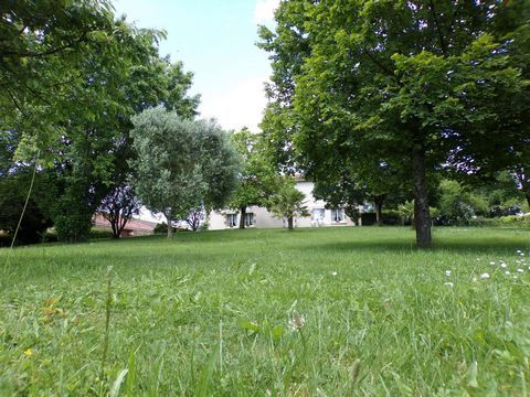 photo no. 9