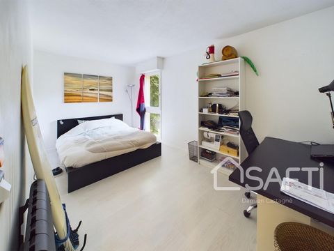 photo no. 11
