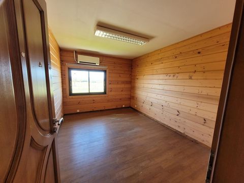 photo no. 12