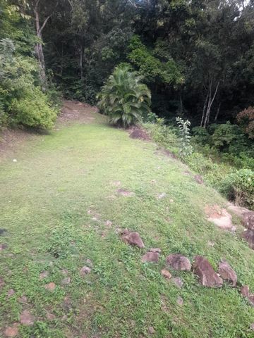 photo no. 11