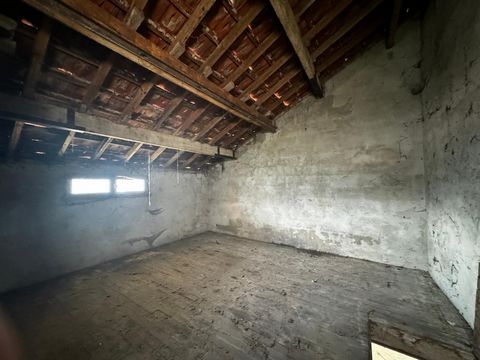 photo no. 7