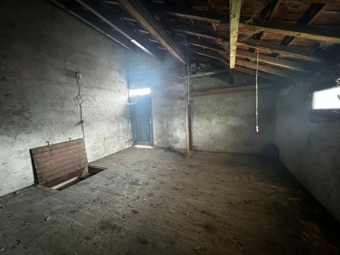 photo no. 10