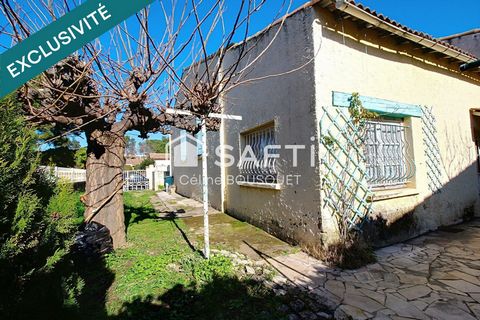 photo no. 11
