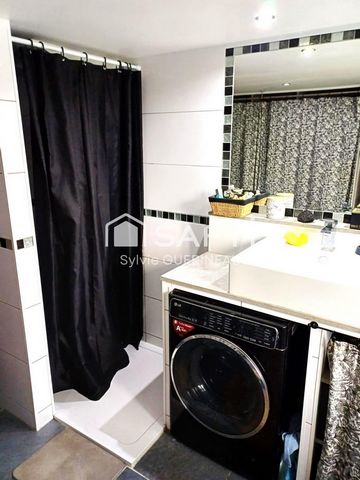 photo no. 11