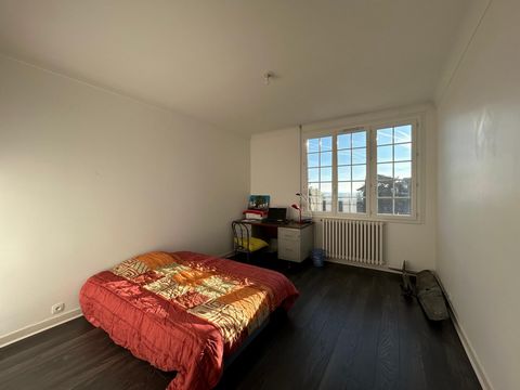 photo no. 8
