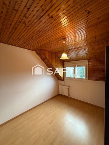 photo no. 12