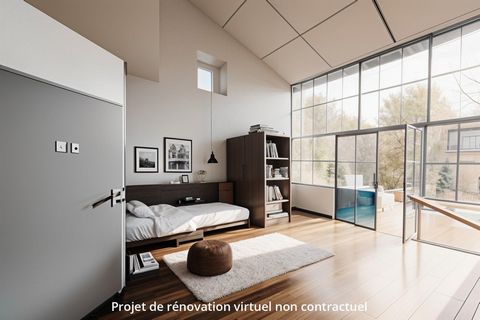 photo no. 12