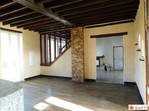 photo no. 11