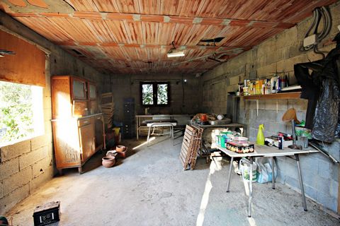 photo no. 16