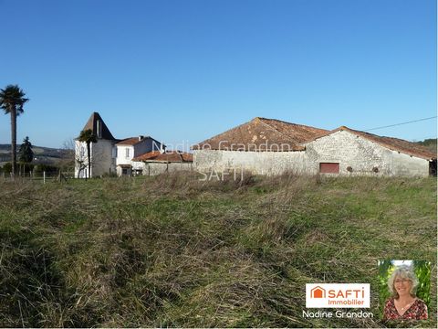 photo no. 17