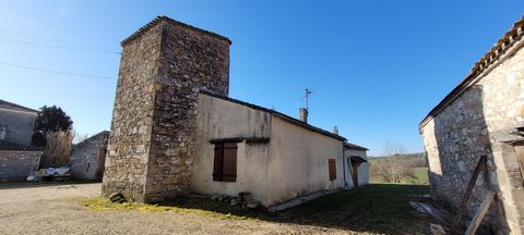 photo no. 2