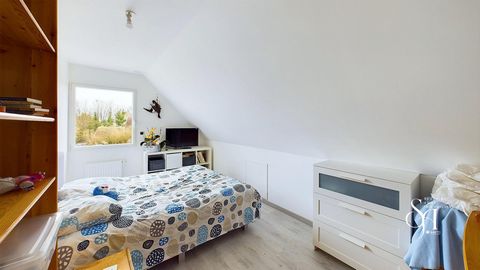 photo no. 12