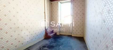 photo no. 7